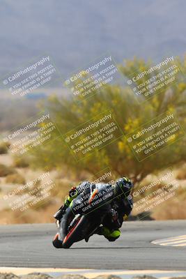 media/Apr-10-2022-SoCal Trackdays (Sun) [[f104b12566]]/Turn 5 Tree of Life (1040am)/